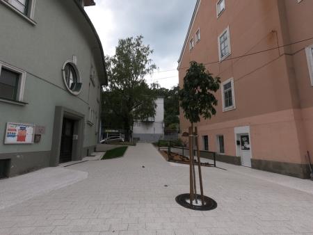 content_GOPR0779