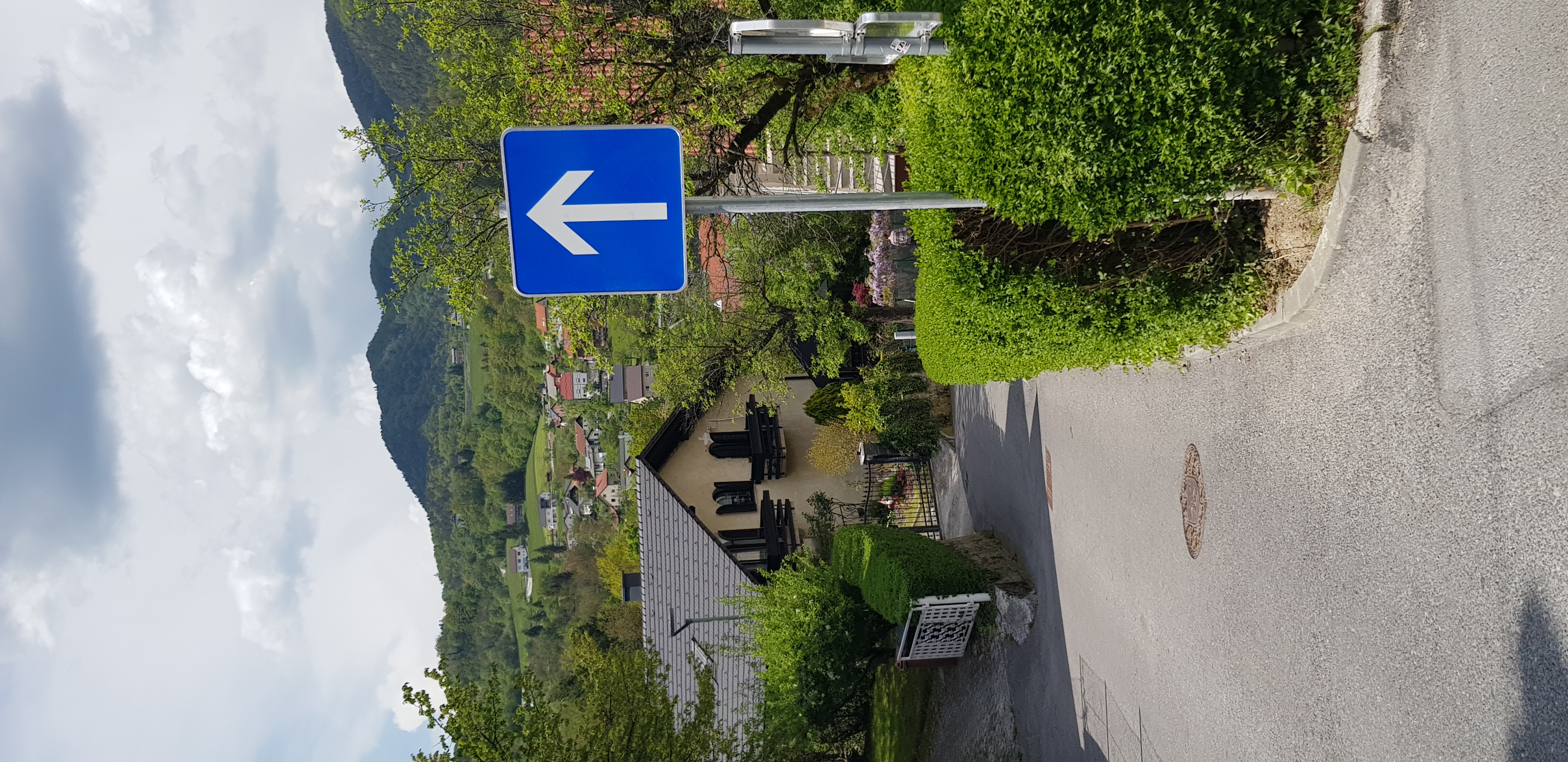 20220504_144429.jpg