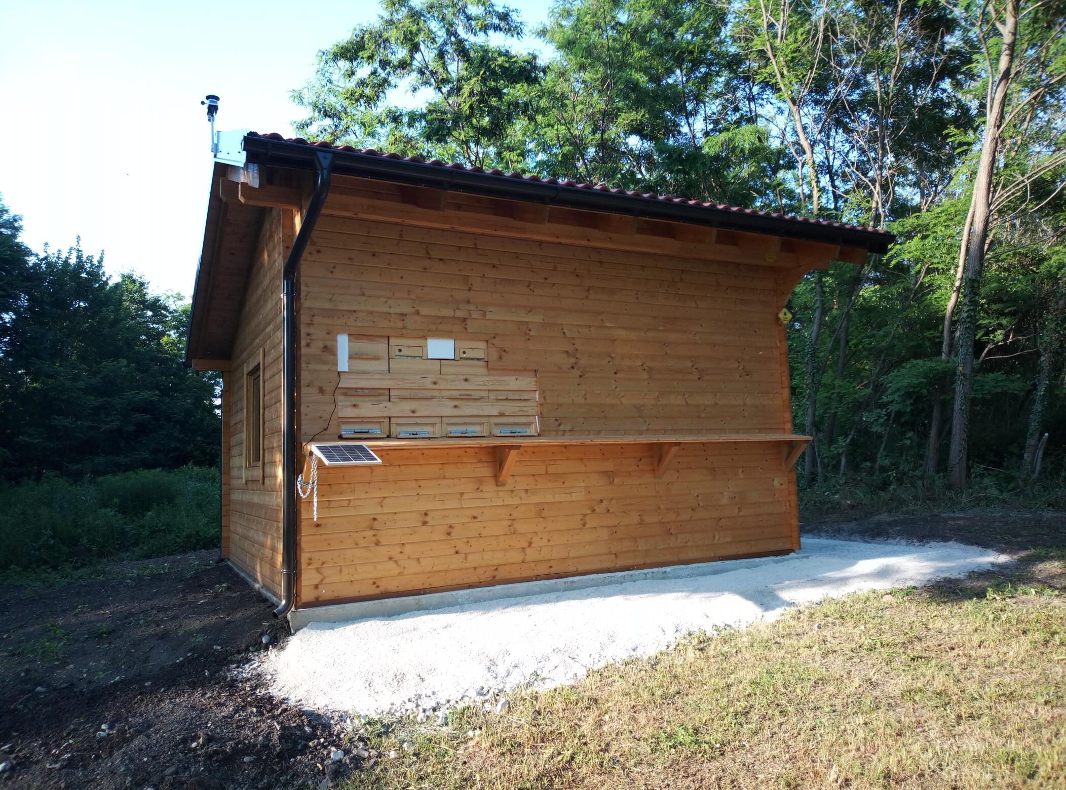 IMG_20220617_183636_7