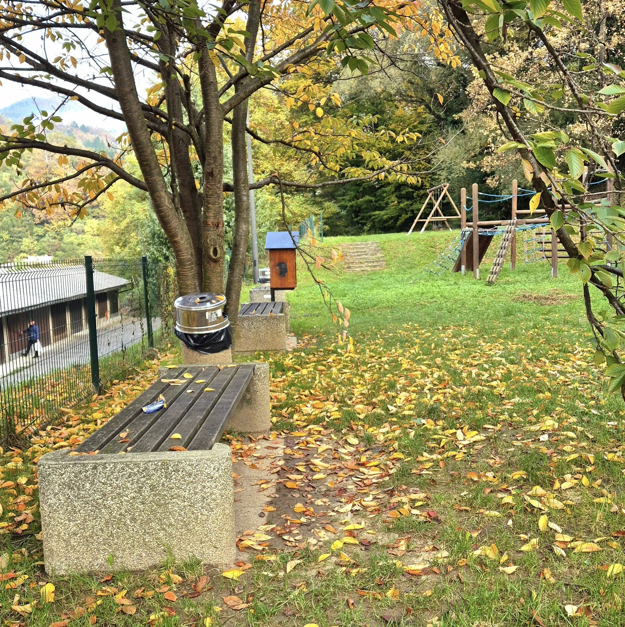 571024407_1262687232328468_4695445613274619461_n